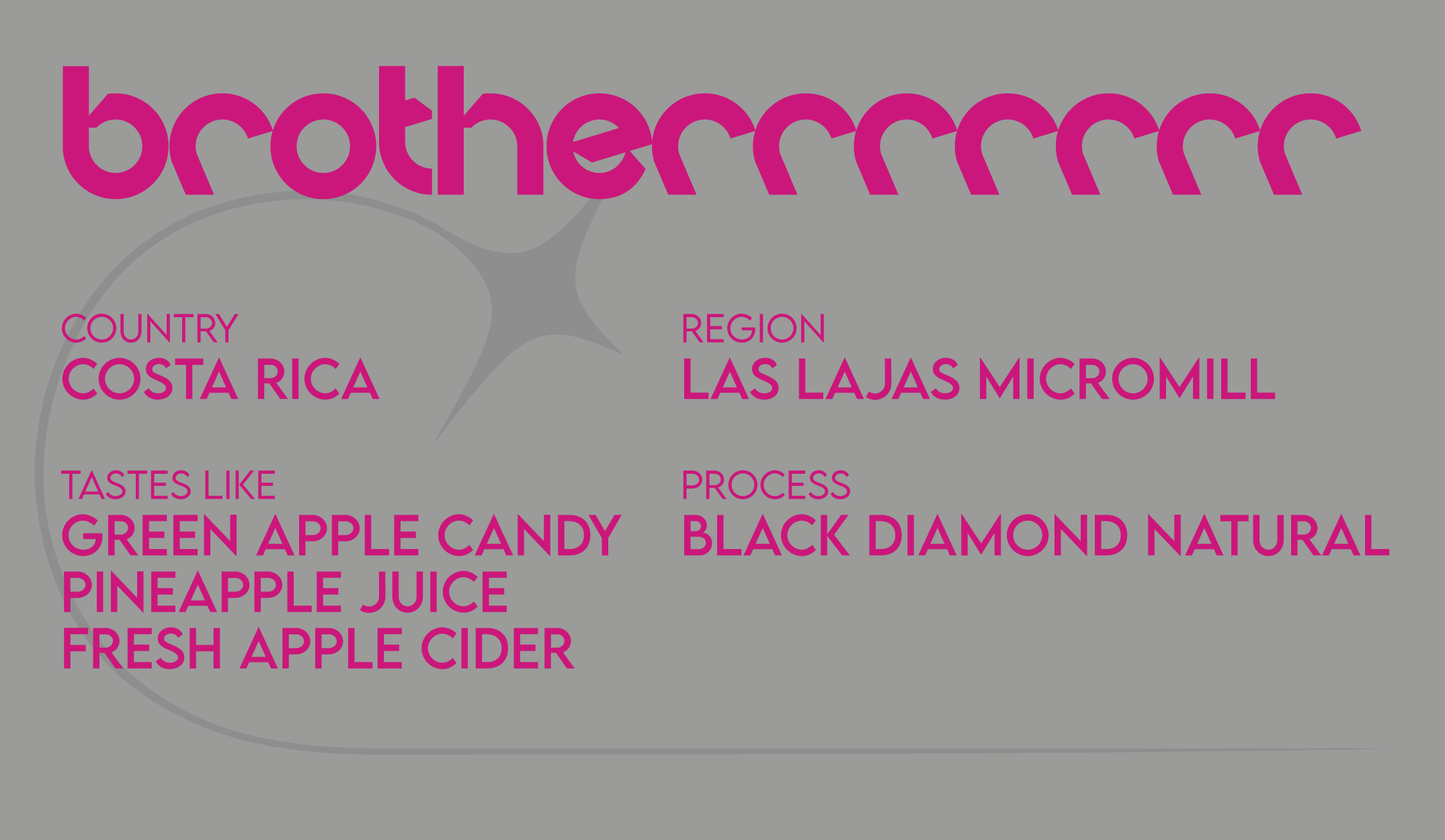 Brotherrrrrrr - Filter