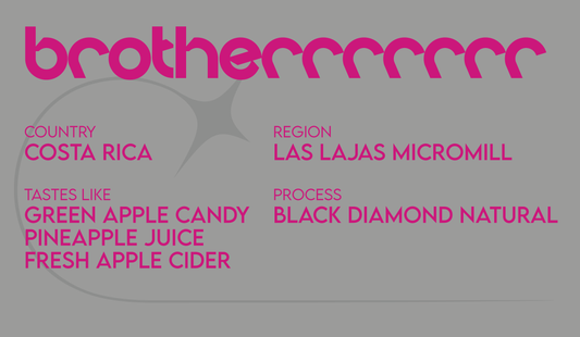 Brotherrrrrrr - Filter