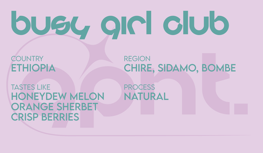 Busy Girl Club - Filter