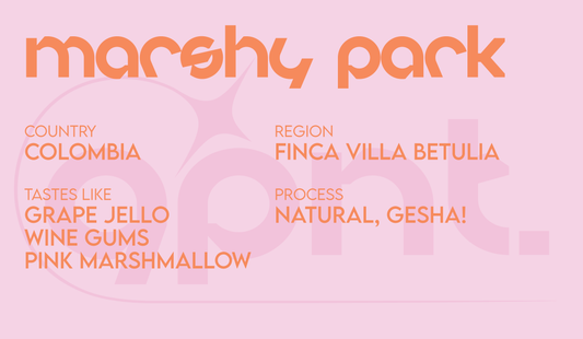 Marshy Park - Filter